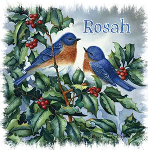 121107_rosahsig.jpg