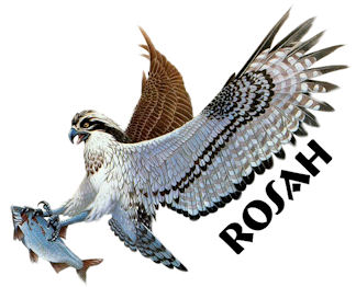 Image4.jpg