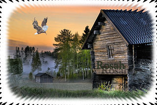 barn eagle.jpg