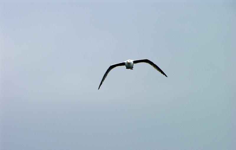 Inflight