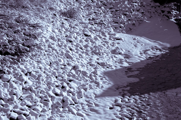 Frozen Shoreline