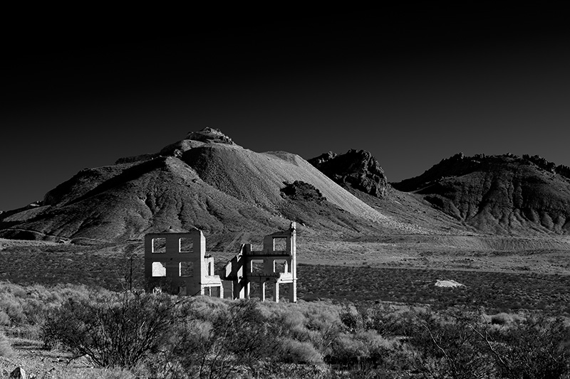 Desert Bones