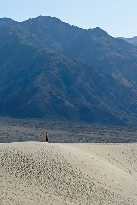 Dune Wanderer
