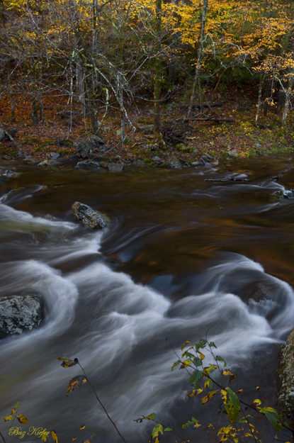 Autumn Cascade