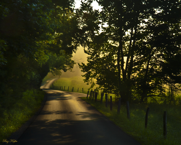 Morning Lane in Summer