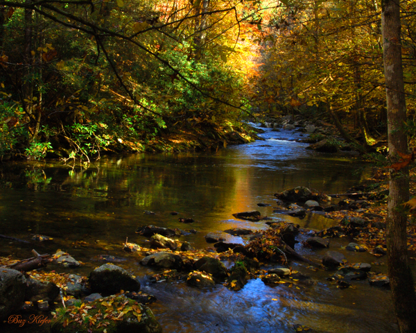 Autumn Stream