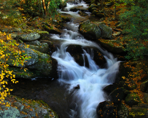 View from a Bridge