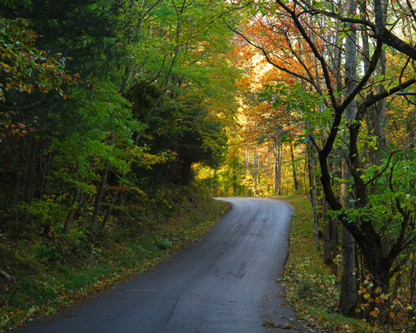 Roberson Road
