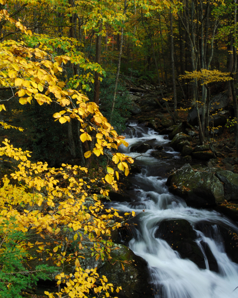 Cascading Stream