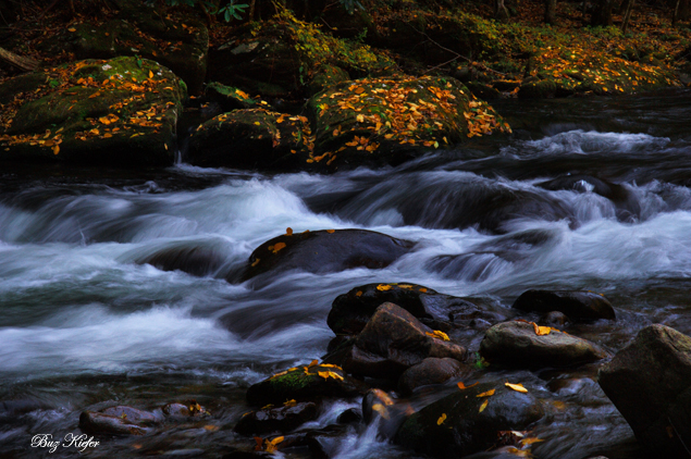 In a Dark Hollow