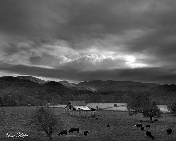After the Storm of October 17th