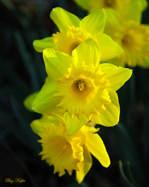 Nearing the Equinox