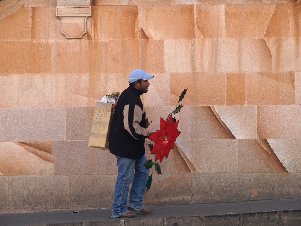 Zacatecas: Pink Stone, Red Flowers