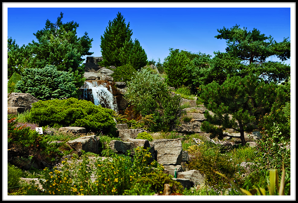 Le Jardin Japonais Sous Le Soleil Brillant
