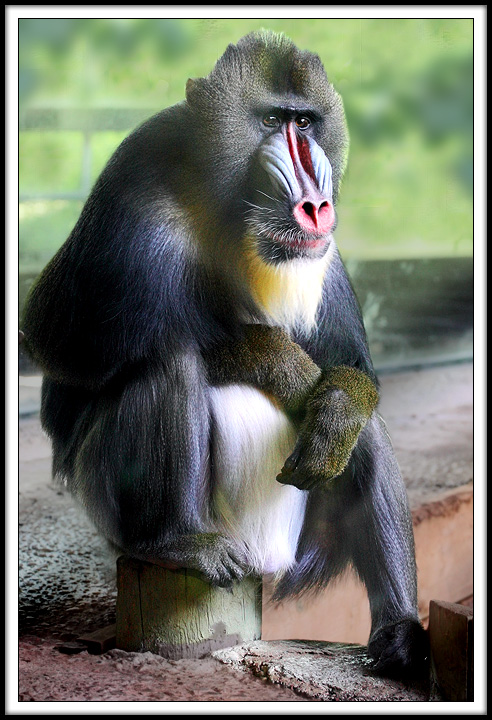 My Cousin Irving at the Toronto Zoo.