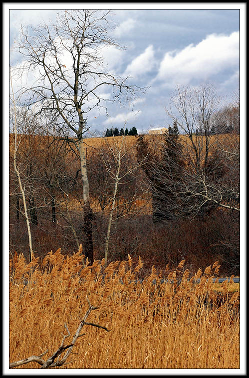 Three Layer Lehigh Landscape