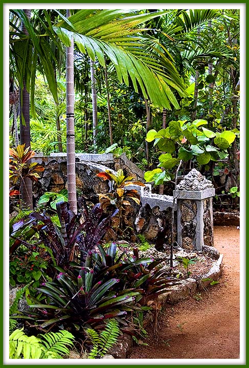 Path through the Rain Forest