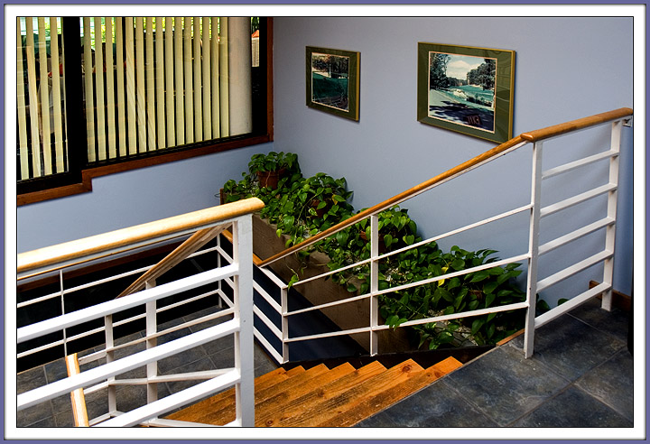 Stairway to the Wedding Reception