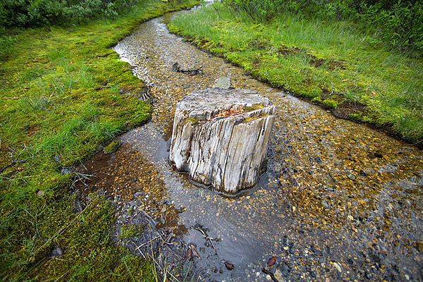 Stream