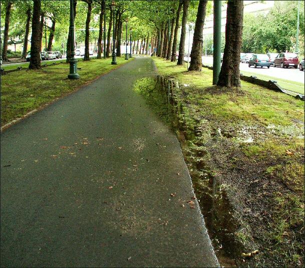 Entre la rue du Grand Forestier et la rue Lemaire.