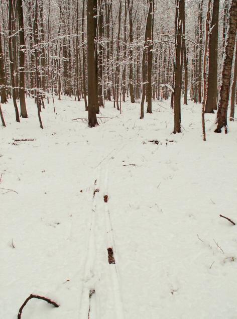 Hors piste, cest mieux.