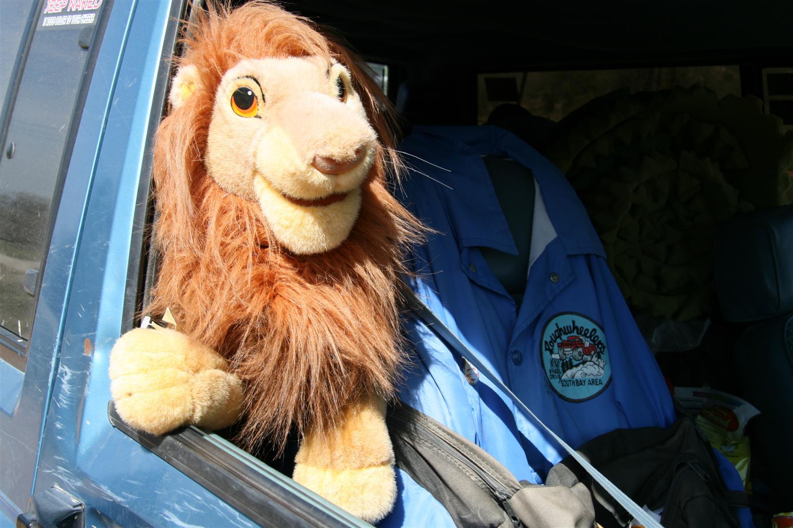 My passenger who smiles on me and everyone !!!!