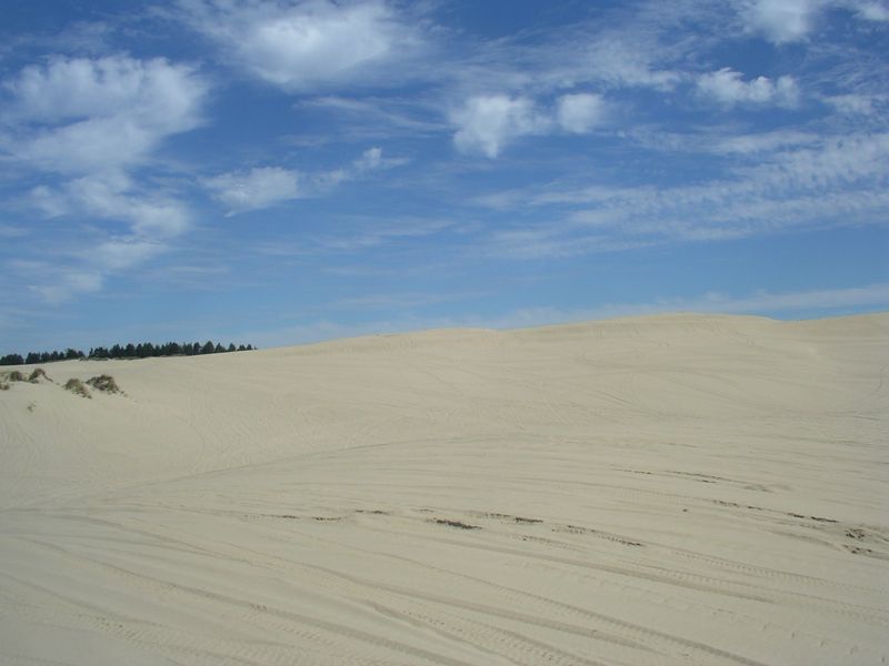 IMGP6399sm.JPG