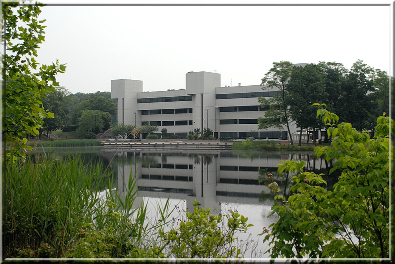 NOVAWoodbridge20.JPG