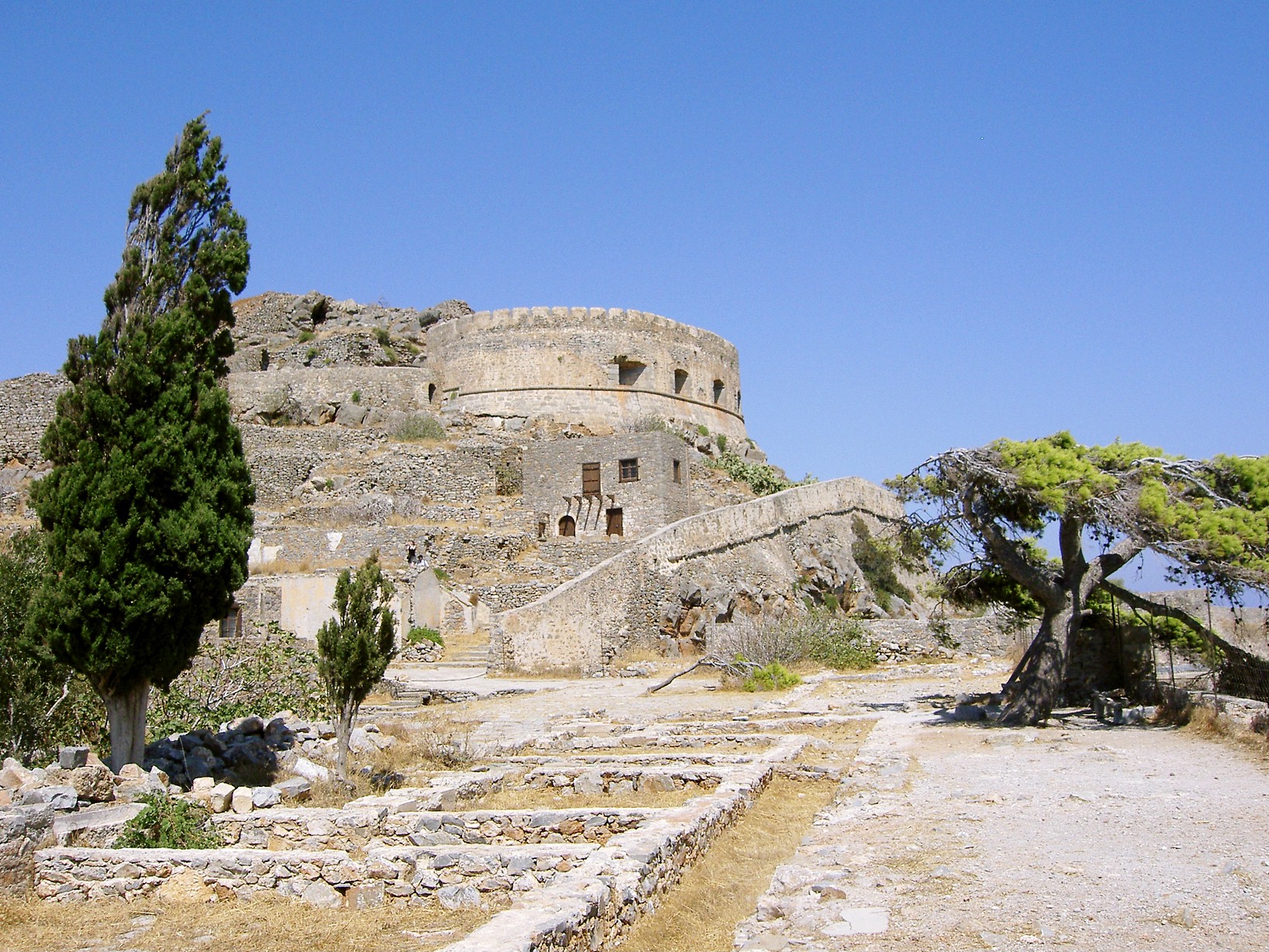 spina longa4