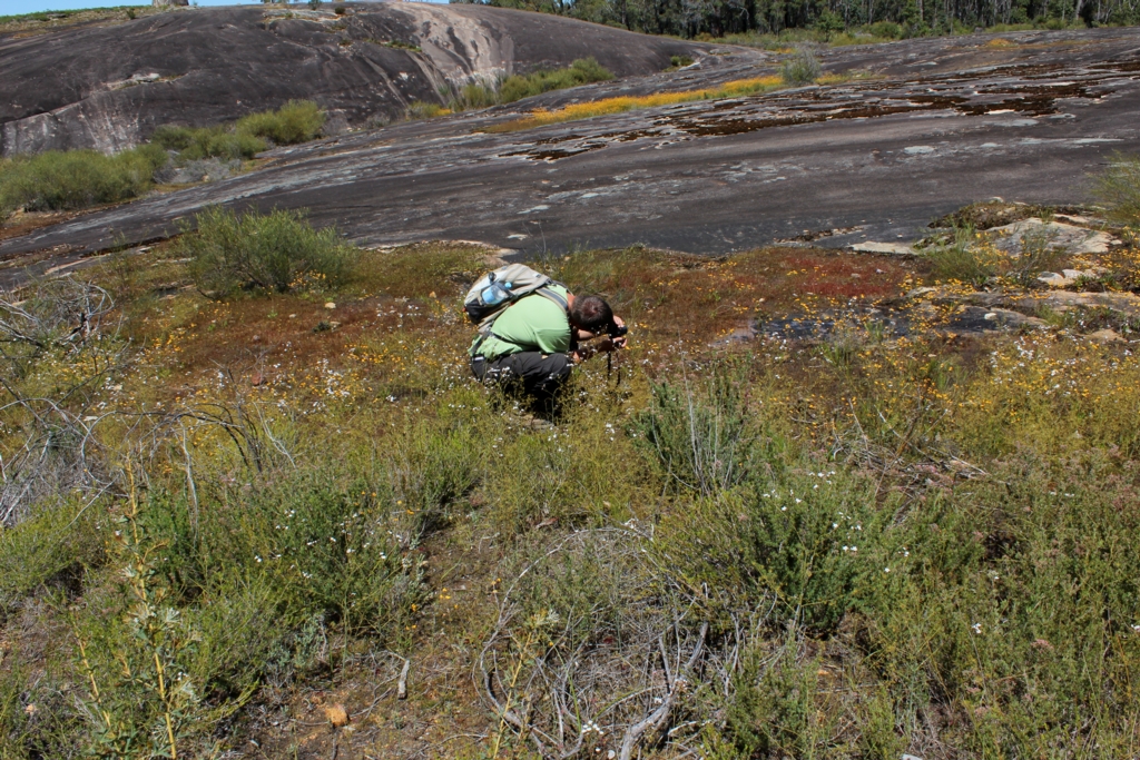 Rock outcrop