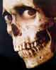 evil-dead-2.jpg