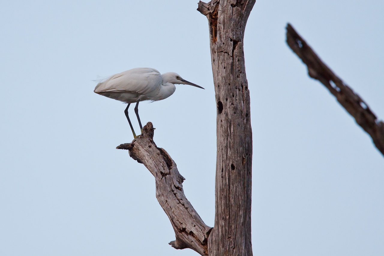 20110917-50D-7701web.jpg
