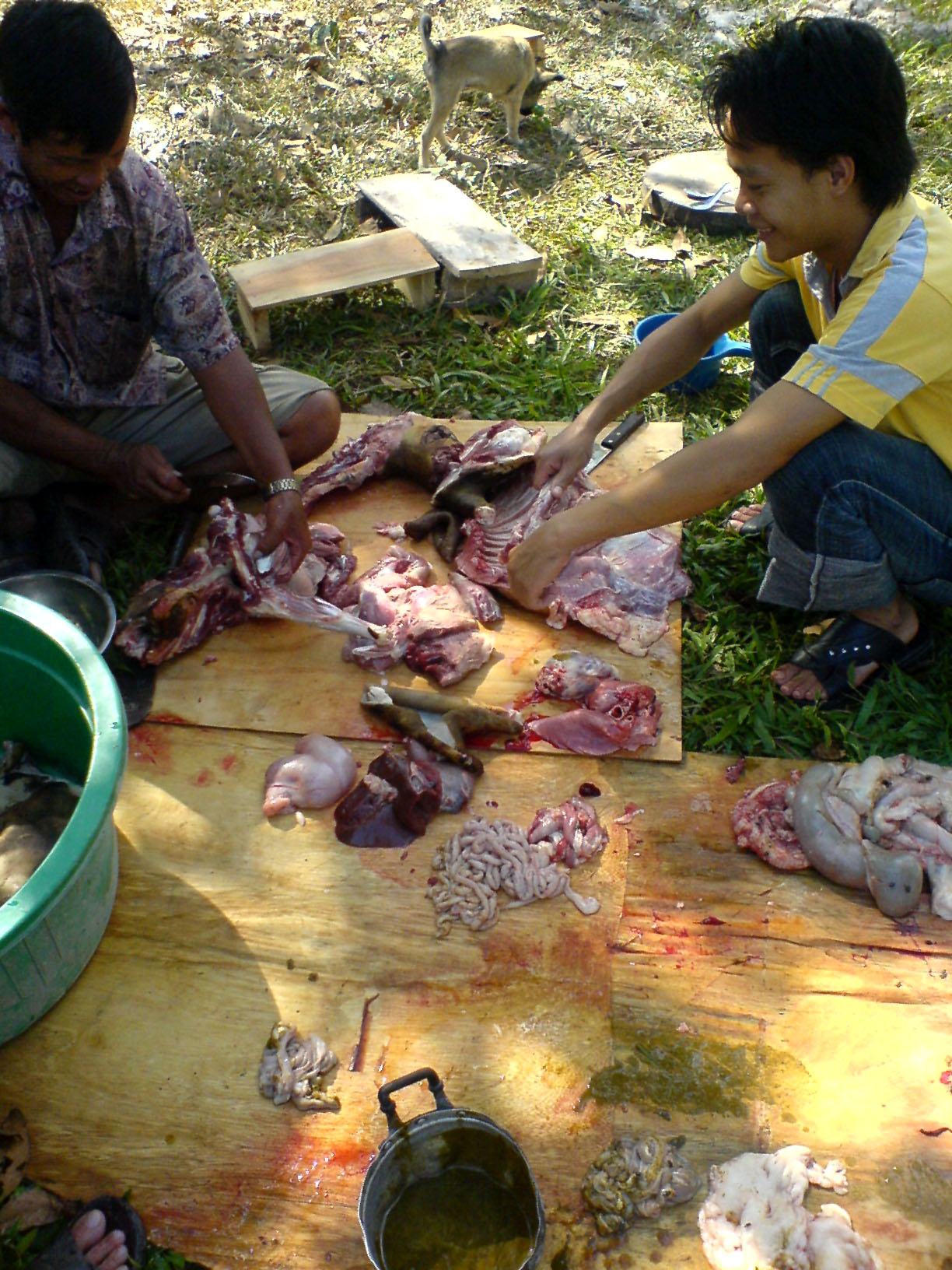 Preparing the Goat