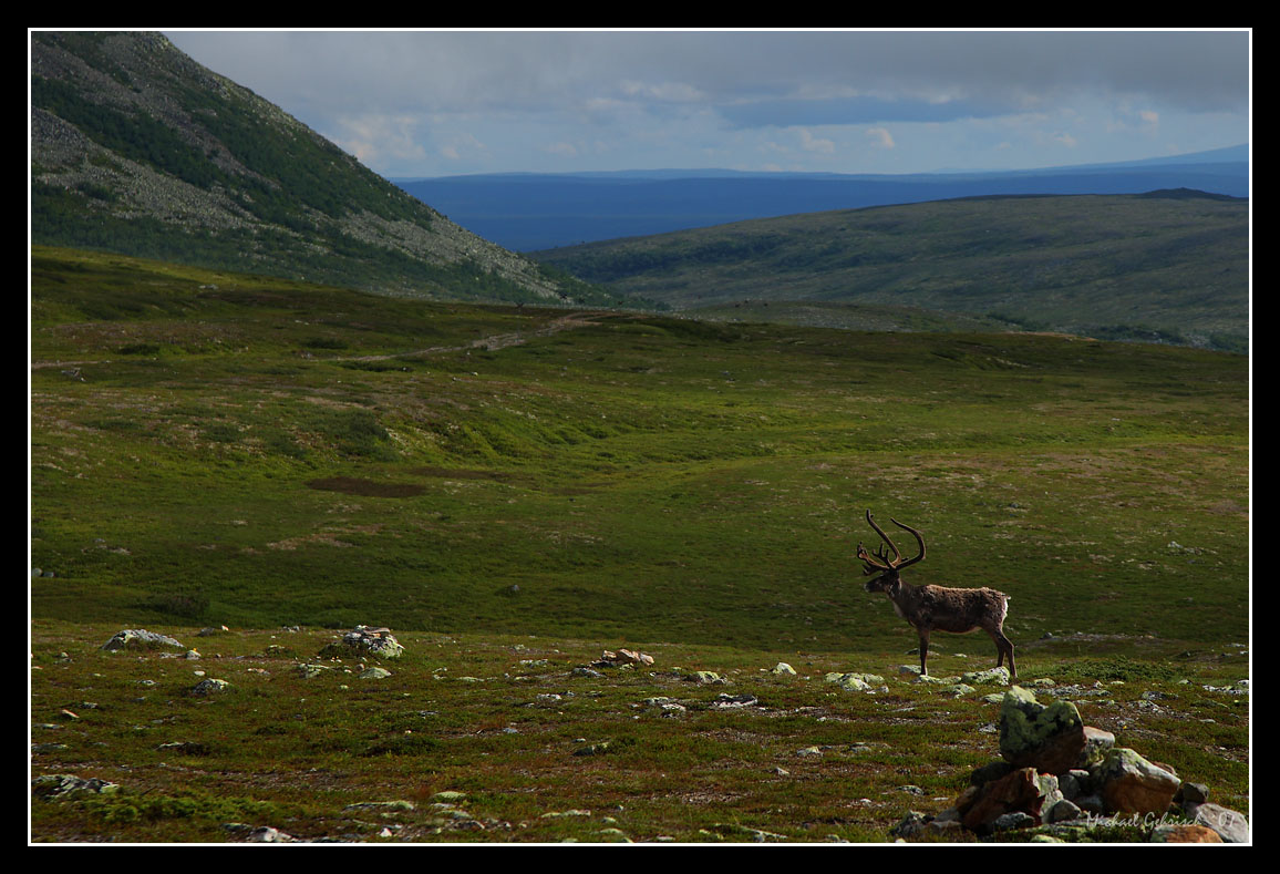Nipfjll National Park, Dalarna