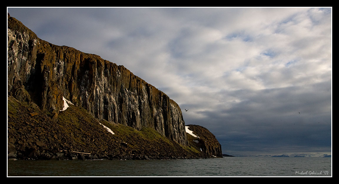 Bird Cliff