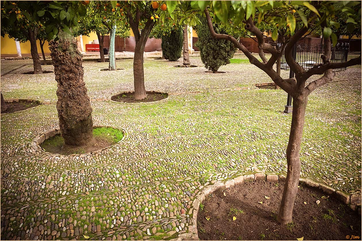 Courtyard Of The Mezquita