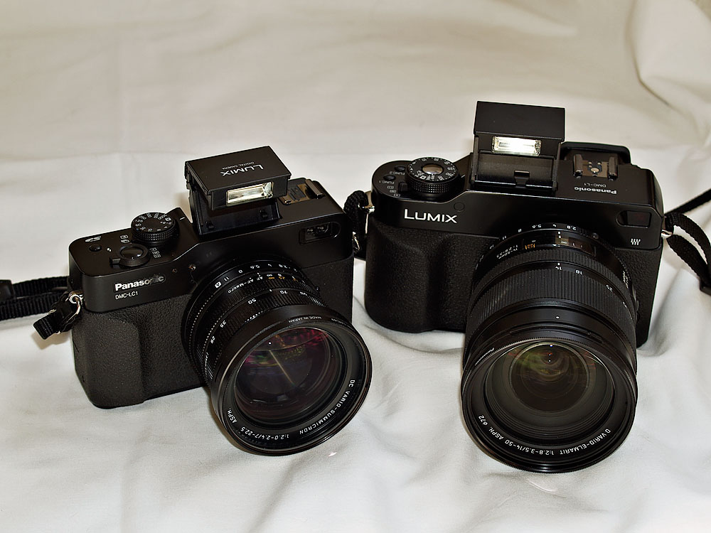 Panasonic DMC L1  & LC1