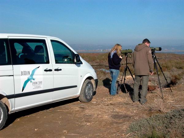 Birdwatching in the Ebro Delta, Bay of Fangar - Pajareo en el delta del Ebro - Observant ocells al Delta del Ebre