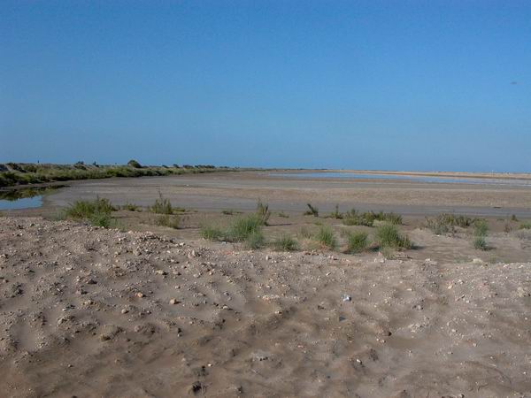 Punta de la Baa salt pans - Salina de la Punta de la Banya - Salines de la Trinitat o salinas de la Trinidad