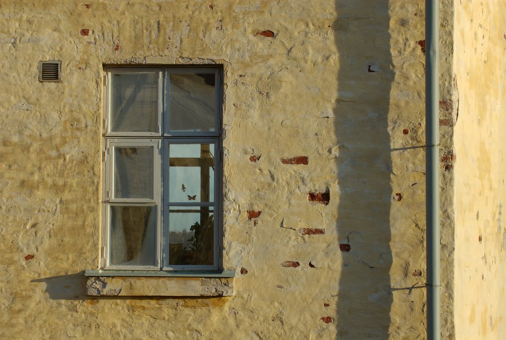 Through the windows