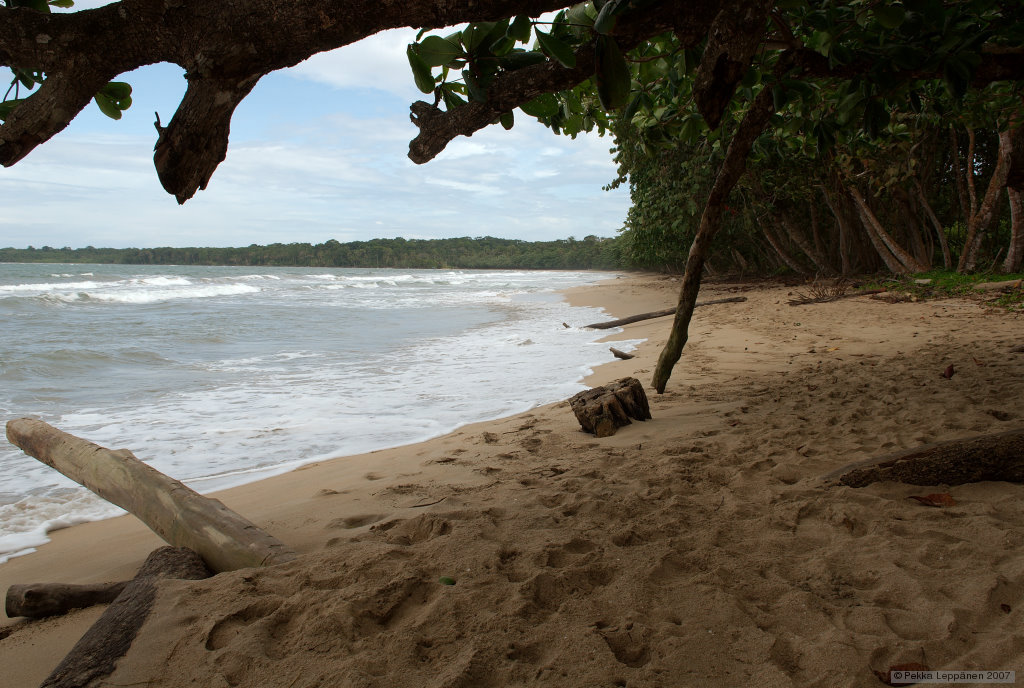 Cahuita natural park IV