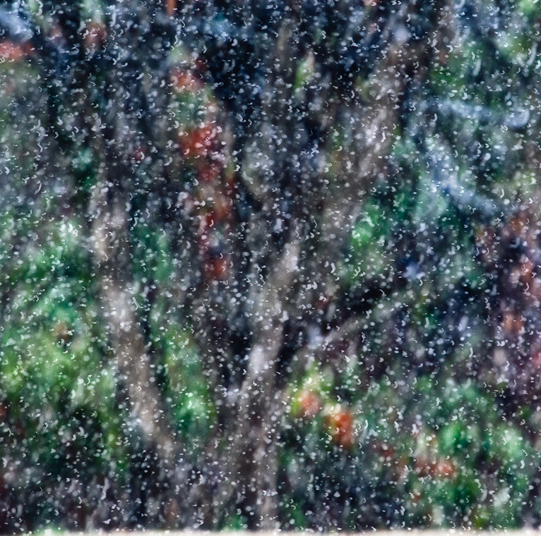 snow