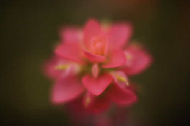 soft paint