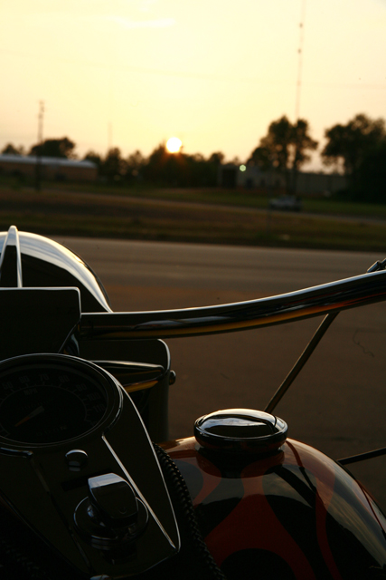 sunset hog