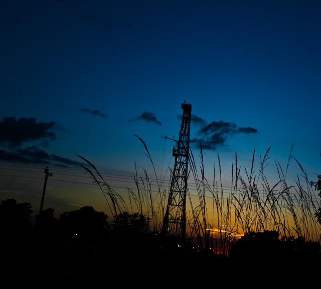 grassy-sunset