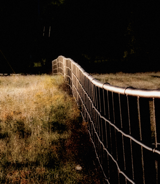 fence