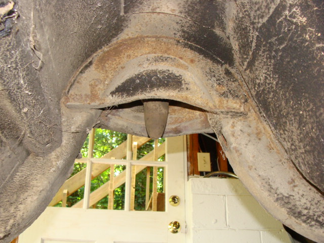 Picture 675.jpg