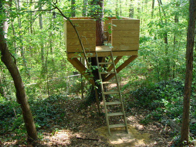 Tree house