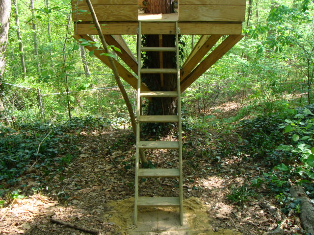The Ladder