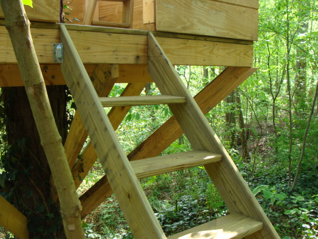 Ladder